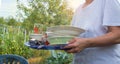 A woman holds a tray with clean washed dishes on a summer background of trees Royalty Free Stock Photo