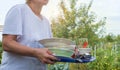 A woman holds a tray with clean washed dishes on a summer background of trees Royalty Free Stock Photo
