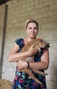 A woman holds a wild boar piglet in her hands. Close-up Royalty Free Stock Photo