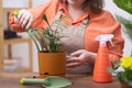 woman using rakeand trowel gardening tools potting chamedorea plant and watering with spray bottle. Royalty Free Stock Photo