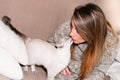 Woman at home kissing her lovely fluffy siamese cat Royalty Free Stock Photo