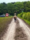 Woman on horse back riding down country lane.