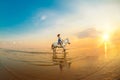 Woman and horse on the background of sky and water. Girl model o Royalty Free Stock Photo