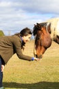 Woman and Horse Best Friend Connection Royalty Free Stock Photo