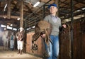 Woman horse breeder carrying leather saddle Royalty Free Stock Photo