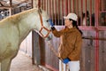 Woman horse breeder stroking white horse in horse barn Royalty Free Stock Photo