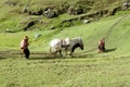 Woman with a horse in the countryside in Peru