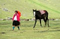 Woman with a horse in the countryside in Peru