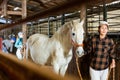 Woman horse holder leading white horse in stabling Royalty Free Stock Photo