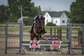 Woman and Horse jumping pink and grey oxer Royalty Free Stock Photo