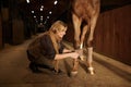 Woman horse owner putting bandage on animal leg to prevent injury