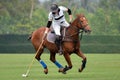 Woman horse polo player