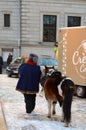 Woman with horse or pony in winter city