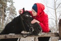 Woman and horse putting a bridle Royalty Free Stock Photo