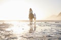 Woman, horse riding and friends on beach with sand for travel, vacation or holiday trip outdoor in nature. Back, people Royalty Free Stock Photo