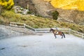 Woman horse riding in a ranch in the mountains Royalty Free Stock Photo