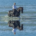 Woman horse in the sea Royalty Free Stock Photo