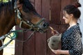 Woman with horse in stable at countryside ranch. Girl horse rider in summer outdoor. Equestrian and horseback riding. Horse Royalty Free Stock Photo