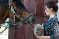 Woman with horse in stable at countryside ranch. Girl horse rider in summer outdoor. Equestrian and horseback riding. Horse Royalty Free Stock Photo