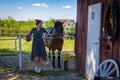 Woman with horse in stable at countryside ranch. Girl horse rider in summer outdoor. Equestrian and horseback riding. Horse Royalty Free Stock Photo