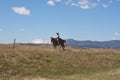 Woman on horseback