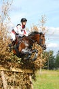 Woman horseback on jumping brown chestnut horse