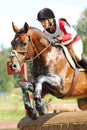 Woman horseback on jumping red chestnut horse