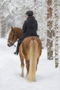 Woman horseback riding in forest Royalty Free Stock Photo