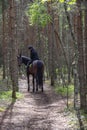 Woman horseback riding in forest path Royalty Free Stock Photo