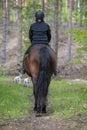 Woman horseback riding in forest path Royalty Free Stock Photo