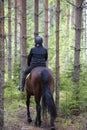 Woman horseback riding in forest path Royalty Free Stock Photo