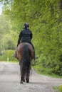 Woman horseback riding in forest path Royalty Free Stock Photo