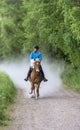 Woman horseback riding in forest path Royalty Free Stock Photo