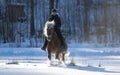 Woman horseback riding in snow in winter Royalty Free Stock Photo