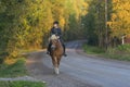 Woman horseback riding in sunset