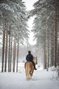 Woman horseback riding in winter in snow forest Royalty Free Stock Photo