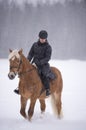 Woman horseback riding in winter snowfall Royalty Free Stock Photo