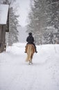 Woman horseback riding in winter snowfall Royalty Free Stock Photo