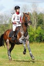 Woman horsebak on galloping brown chestnut horse