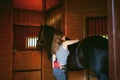 Woman horseman cleans from dirt with brush Friesian horse in stables on farm