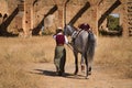 Woman horsewoman beside her horse, in the countryside next to a ruined building. Concept horse riding, animals, dressage,