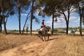 Woman horsewoman, young and beautiful, performing cowgirl dressage exercises with her horse, in the countryside. Concept horse Royalty Free Stock Photo