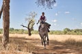 Woman horsewoman, young and beautiful, running at a trot with her horse, on a path with pine trees in the countryside. Concept