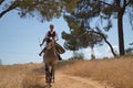 Woman horsewoman, young and beautiful, running at a trot with her horse, on a path with pine trees in the countryside. Concept