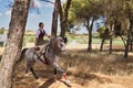 Woman horsewoman, young and beautiful, running at a trot with her horse, among the pines in the countryside. Concept horse riding