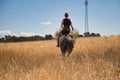 Woman horsewoman, young and beautiful, walking with her horse, in the countryside surrounded by dry grass. Concept horse riding,