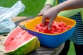 A woman on a hot day offers sliced pieces of watermelon. Royalty Free Stock Photo