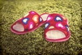 woman house slippers