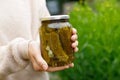 Woman housewife hand holding glass jar of pickled cucumbers. Domestic preparation pickling and canning of vegetables, winter Royalty Free Stock Photo