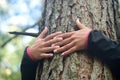 Woman hugging a big tree in a park. Royalty Free Stock Photo